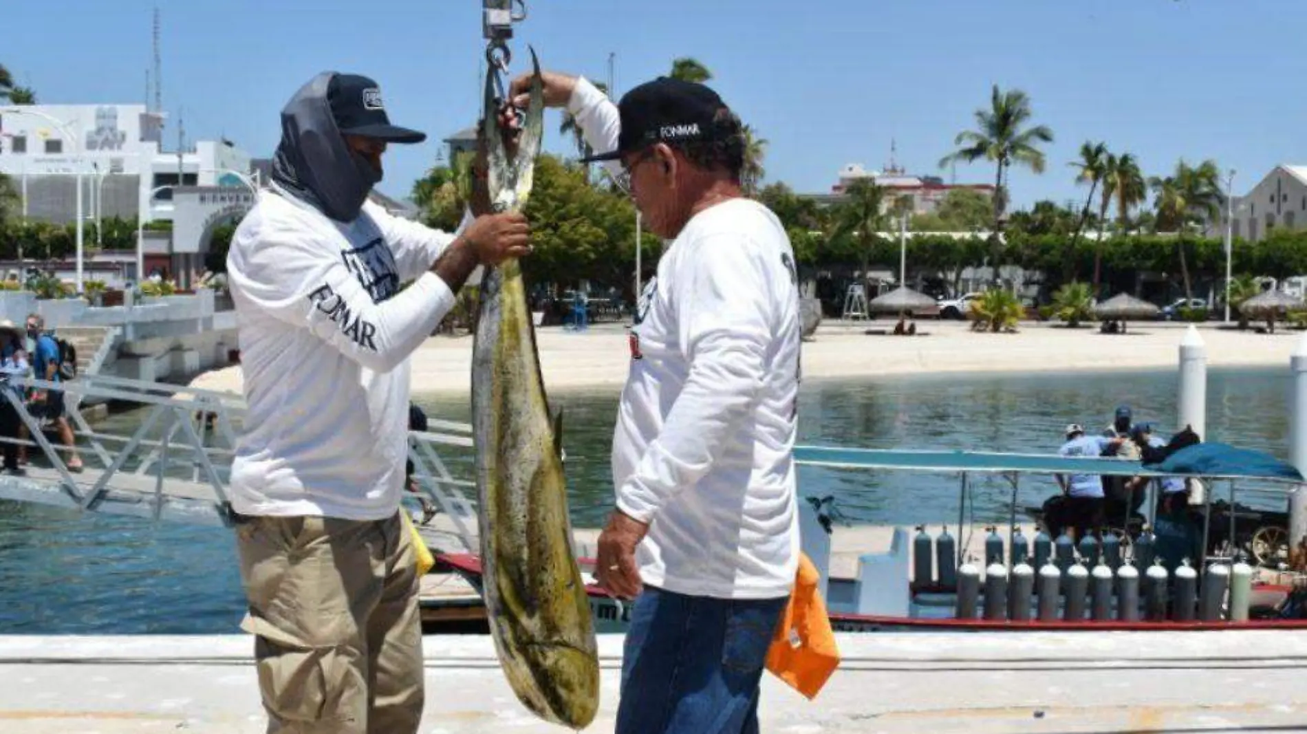 Liberar dorado de pesca deportiva 2